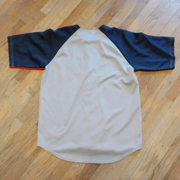 St Louis Cardinals Jersey Mens Large Gray Red True Fan MLB Baseball - Picture 2 of 9